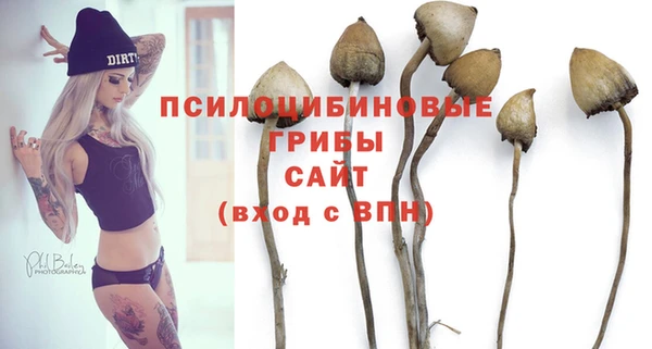 дурь Алзамай
