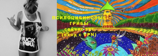 дурь Алзамай